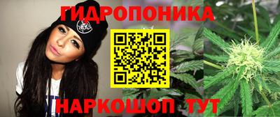 прущий лед Гагарин
