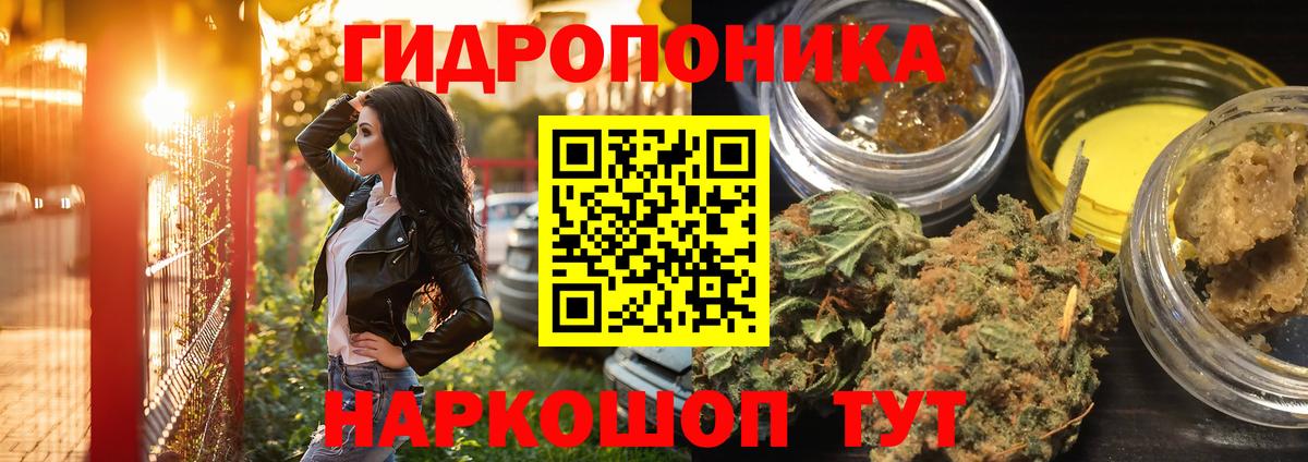 Конопля Ganja Берёзовский